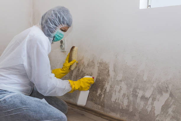 Water Damage Restoration in Oak Point, TX