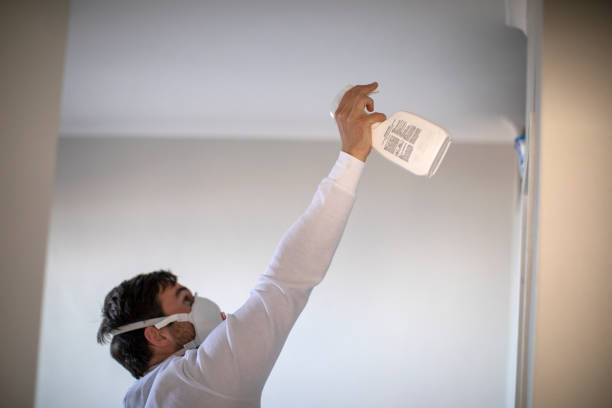 Best Crawl Space Mold Removal  in Oak Point, TX