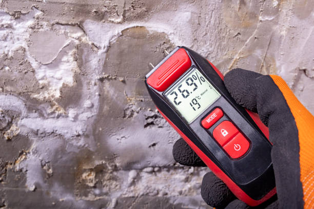 Best Commercial Mold Removal  in Oak Point, TX