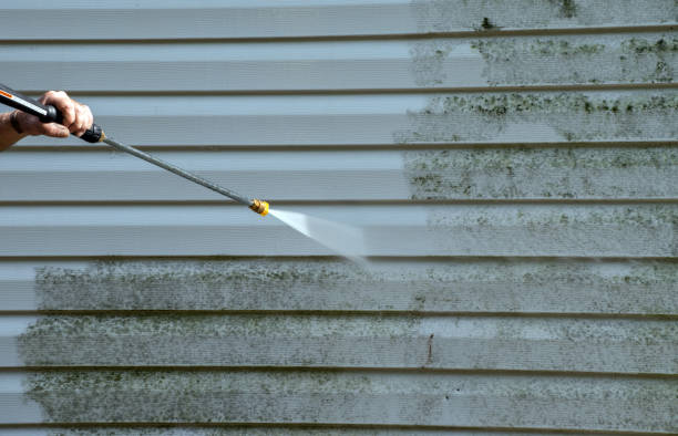 Best Attic Mold Removal  in Oak Point, TX