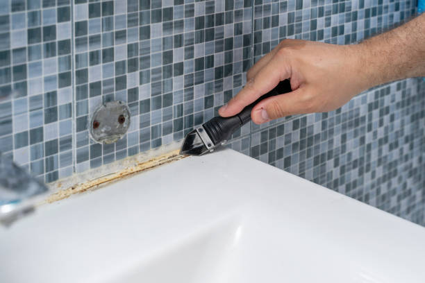 Best Attic Mold Removal  in Oak Point, TX
